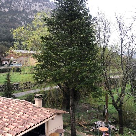 Auberge De La Vallee Saint-Jean-de-Buèges Buitenkant foto