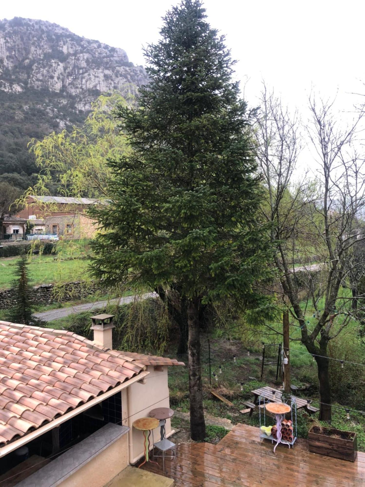 Auberge De La Vallee Saint-Jean-de-Buèges Buitenkant foto